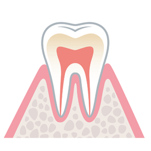 健康な歯肉